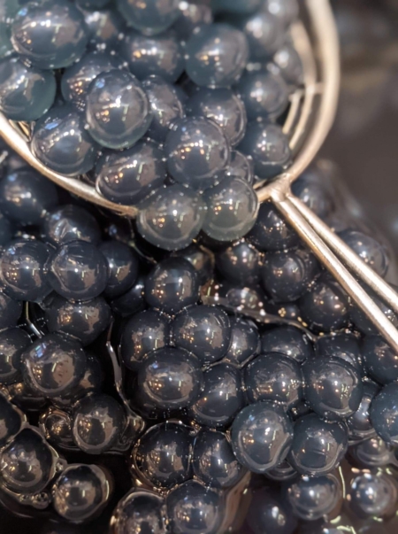 Perles de sirop à la myrtille